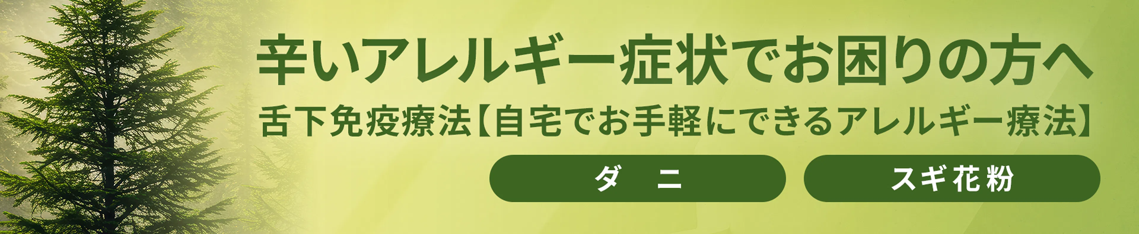 自宅でお手軽にできるアレルギー療法