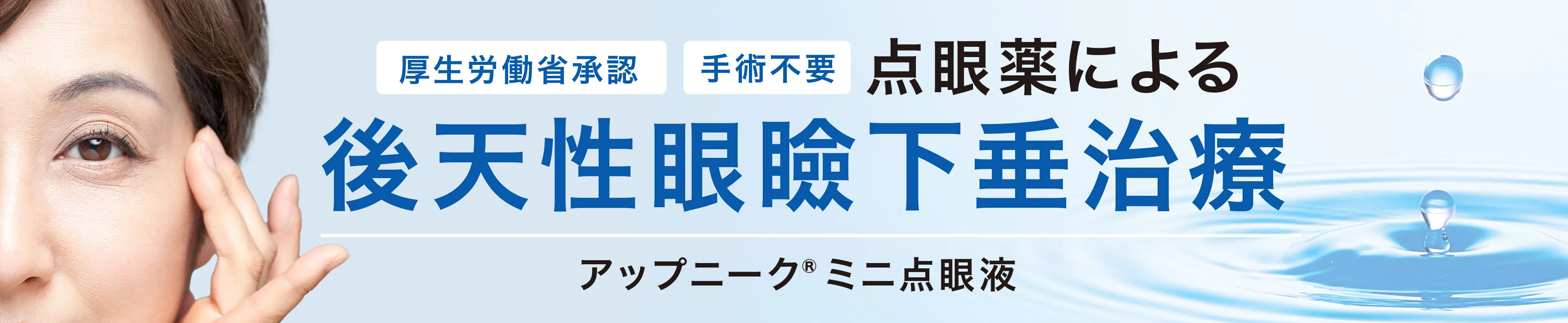 アップニークミニ