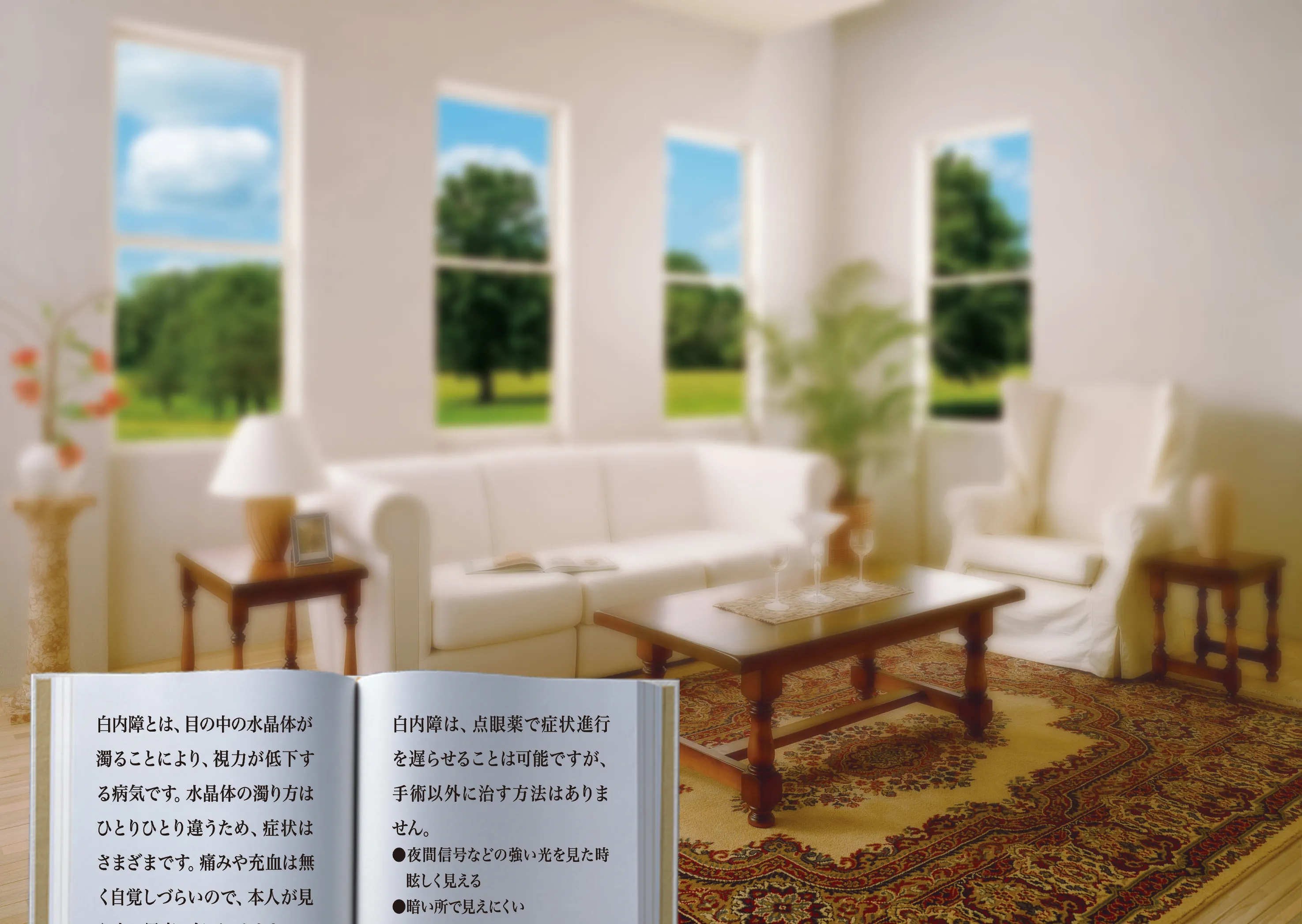 単焦点レンズ(焦点を近く)