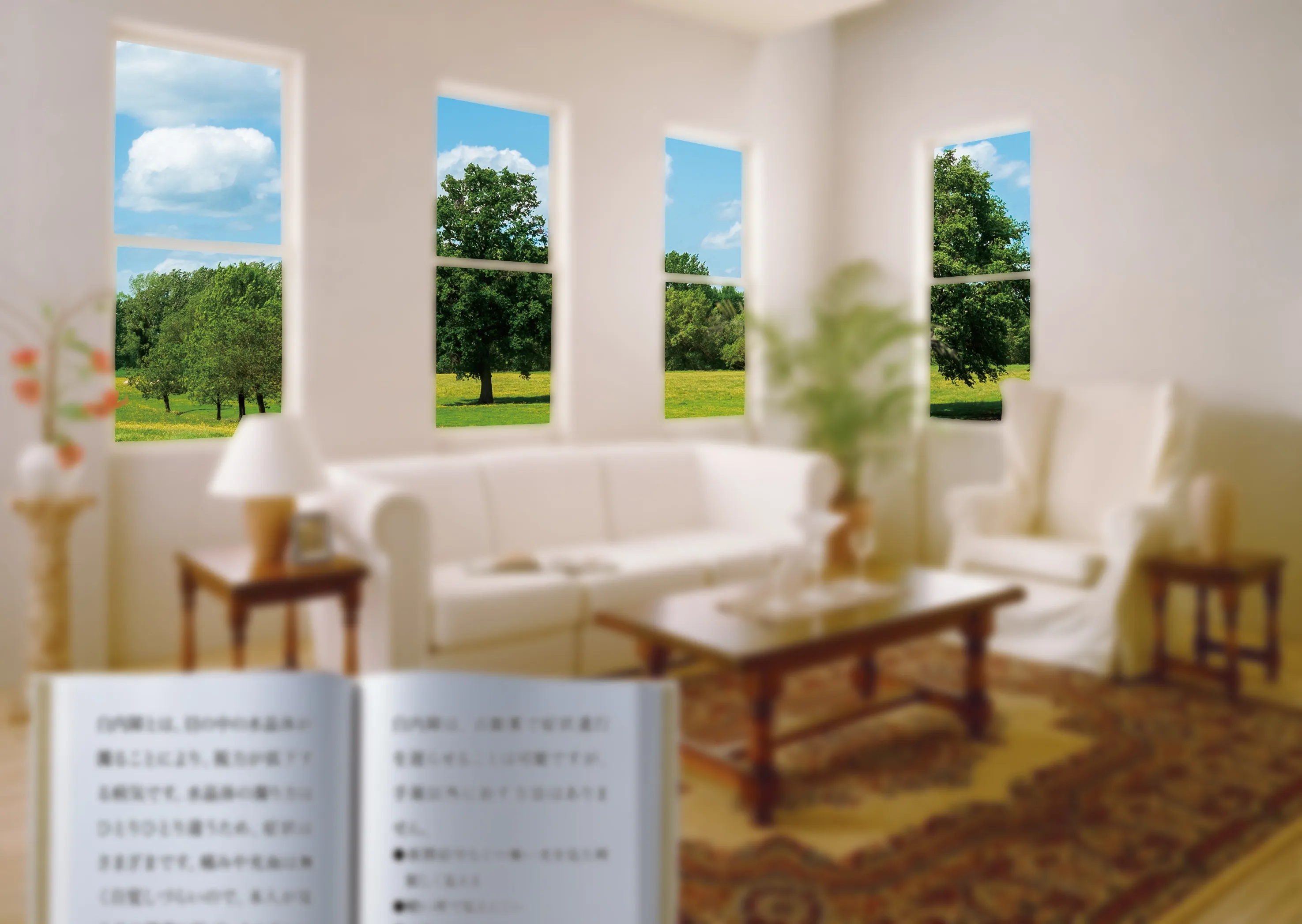 単焦点レンズ(焦点を遠く)