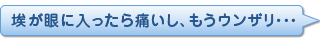 埃が眼に入ったら痛いし、もうウンザリ・・・