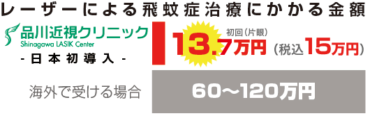 レーザーによる飛蚊症治療にかかる金額。日本初導入。5万円初回（片眼・税込）海外で受ける場合60〜120万円