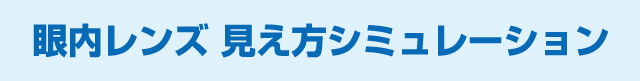 眼内レンズ見え方シミュレーション